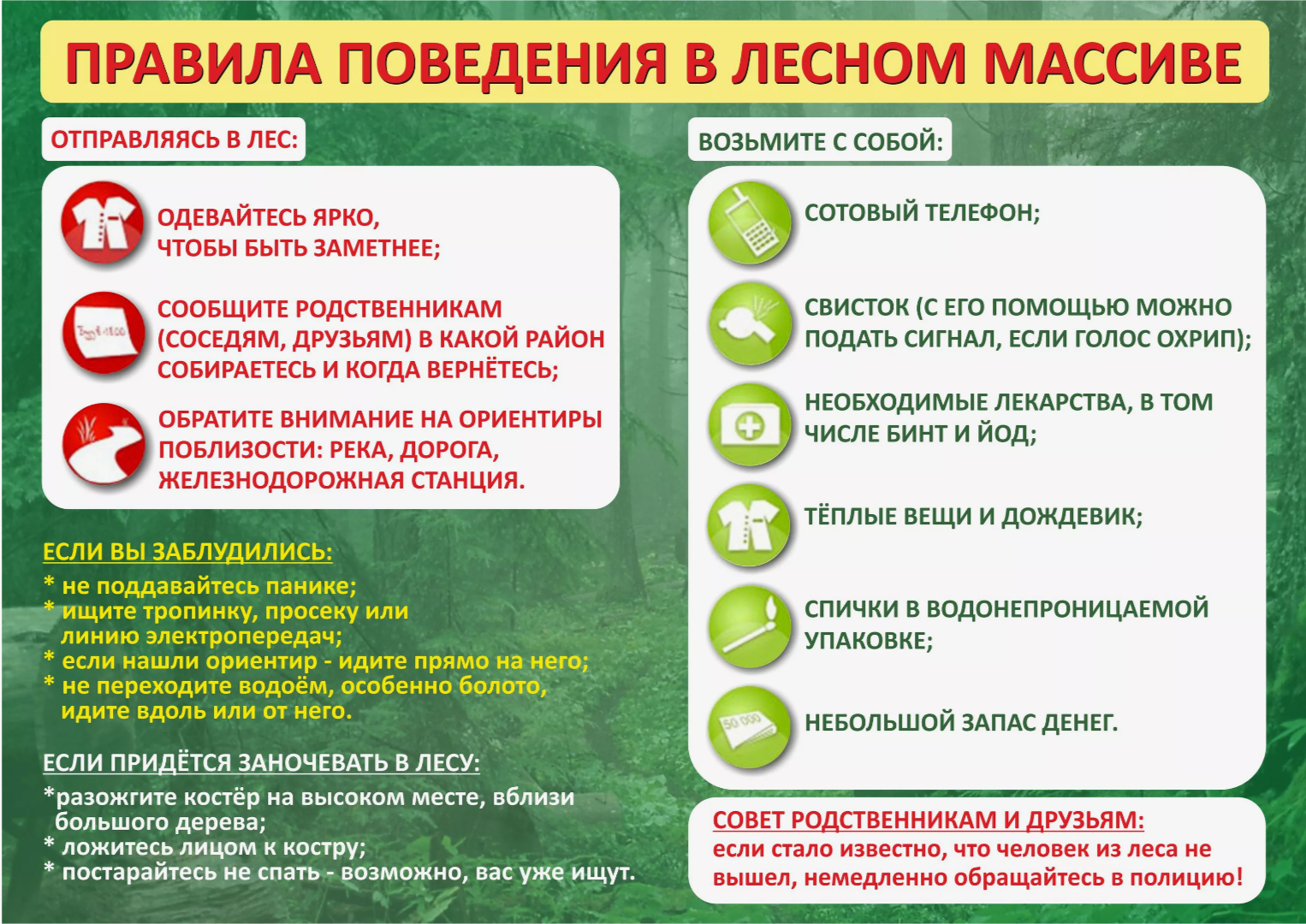 Правила поведения в лесу.