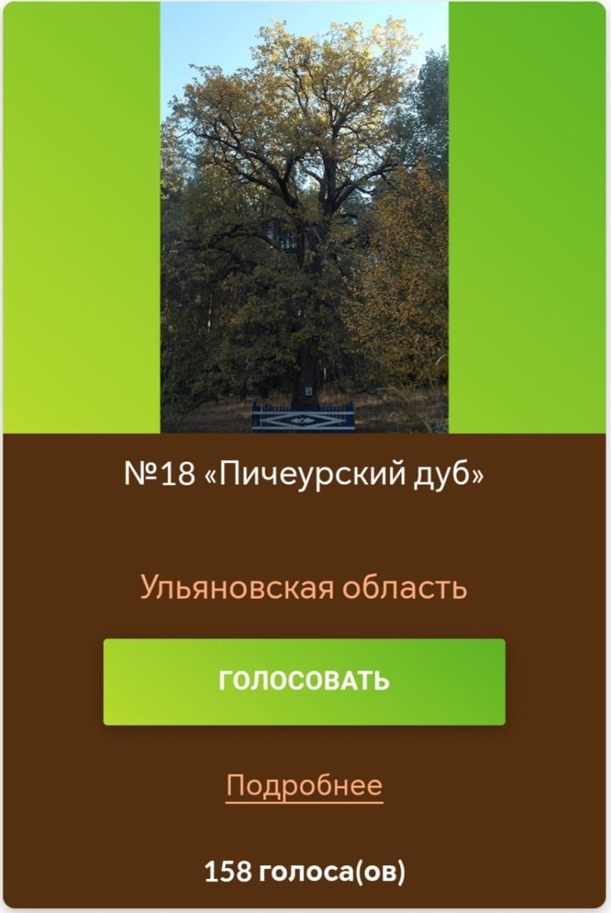 Поможем в голосовании.