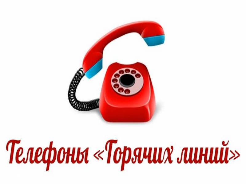 В Ульяновской области заработали телефоны «горячей линии» по вопросам бесплатного питания для детей военнослужащих.