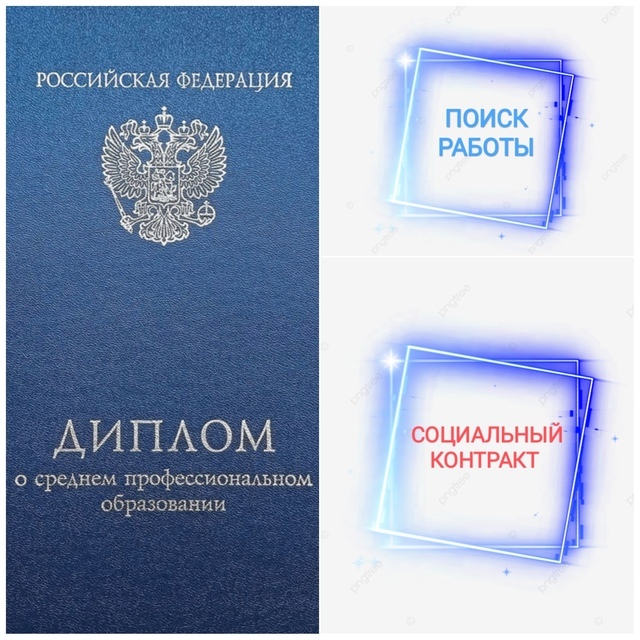 Социальный контракт на поиск работы наиболее востребован выпускниками учебных заведений.