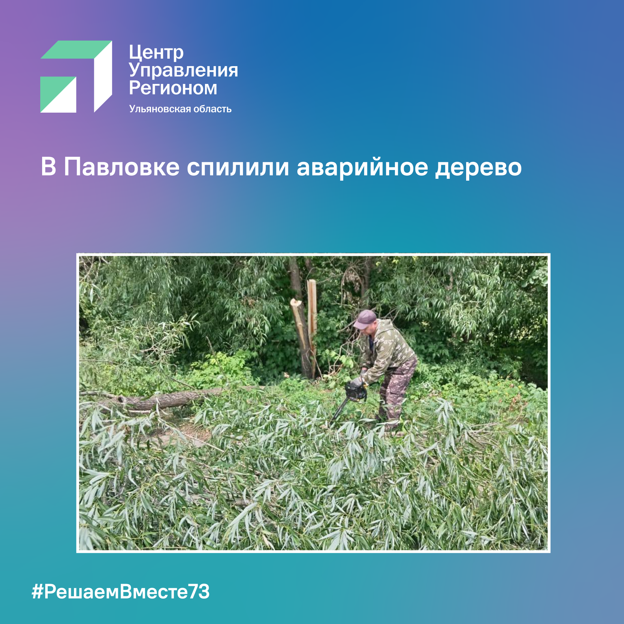 В Павловке спилили аварийное дерево.
