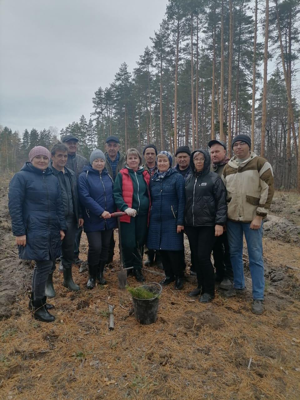 В Павловке провели Всероссийскую акцию &quot;Сохраним лес&quot;.