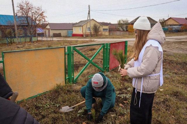 Первые высадили деревья в честь Дня народного единства.