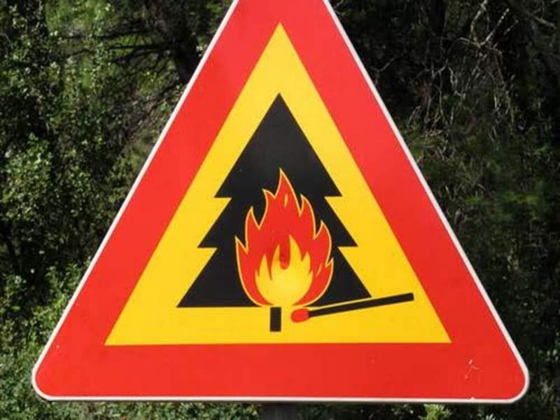 В период с 23 по 31 августа в лесах области ожидается чрезвычайная пожарная опасность 5 класса.