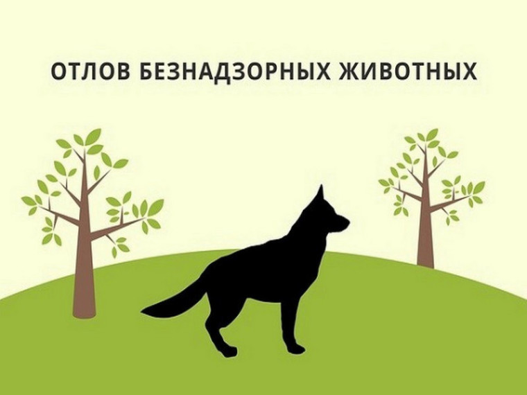О Б Ъ Я В Л Е Н И Е. О Б Ъ Я В Л Е Н И Е.