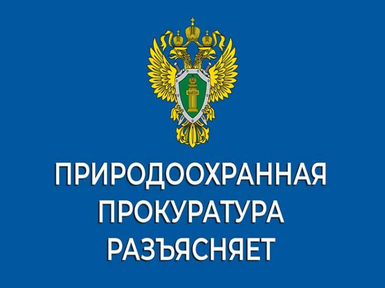 В Ульяновской области по требованию природоохранной прокуратуры организацией возмещен ущерб, причиненный водным биологическим ресурсам в результате работ по реконструкции моста.